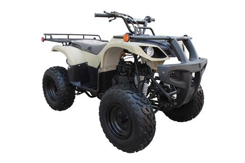 2016 Coolster ATV-3150DX2 in Waynesboro, Mississippi