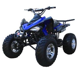 2016 Coolster ATV-3150CXC in Waynesboro, Mississippi - Photo 7