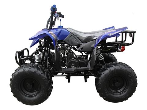 2021 Coolster ATV-3050B in Knoxville, Tennessee - Photo 2