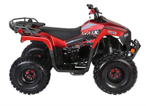 2021 Coolster ATV-3125F in Knoxville, Tennessee - Photo 2