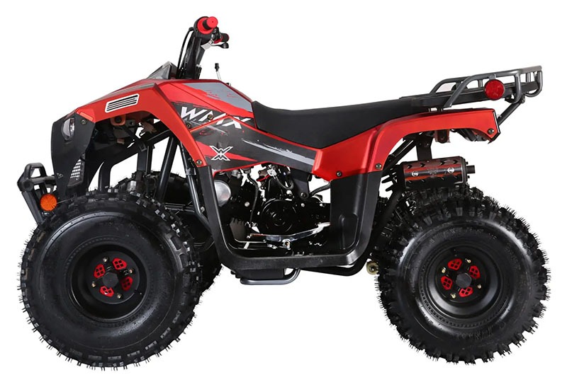 2021 Coolster ATV-3125F in Knoxville, Tennessee - Photo 3