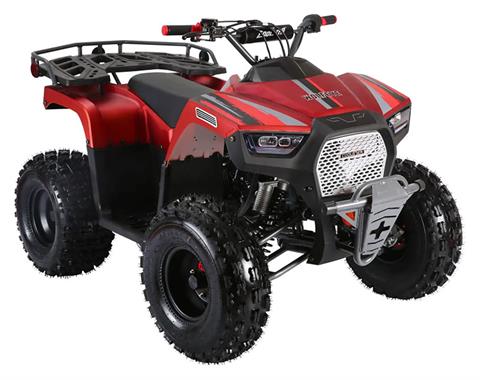 2021 Coolster ATV-3125F in Knoxville, Tennessee - Photo 4