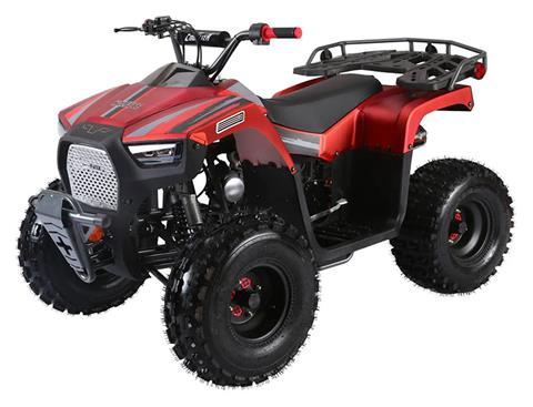 2021 Coolster ATV-3125F in Knoxville, Tennessee - Photo 5