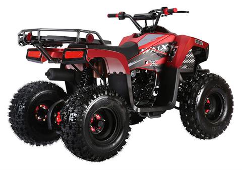 2021 Coolster ATV-3125F in Knoxville, Tennessee - Photo 7