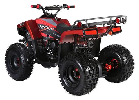 2021 Coolster ATV-3125F in Knoxville, Tennessee - Photo 6