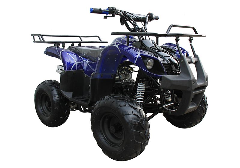 2021 Coolster ATV-3125R in Knoxville, Tennessee - Photo 3