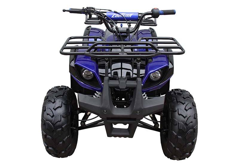 2021 Coolster ATV-3125XR8-U in Knoxville, Tennessee
