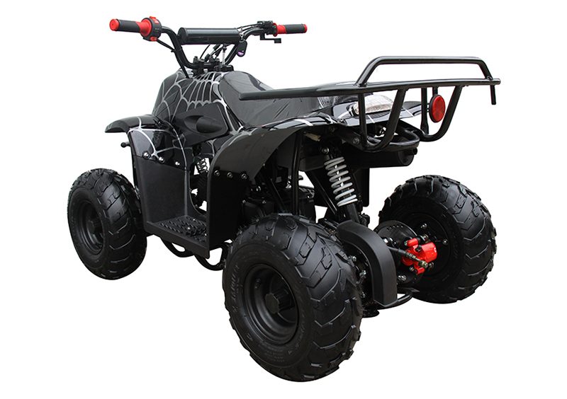 2022 Coolster ATV-3050C in Knoxville, Tennessee - Photo 6