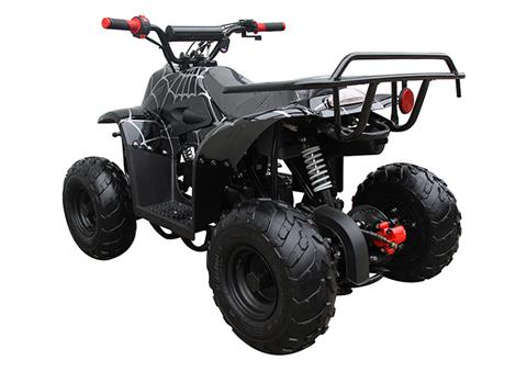 2022 Coolster ATV-3050C in Knoxville, Tennessee - Photo 6