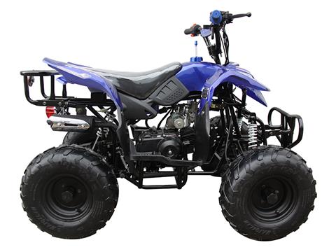 2022 Coolster ATV-3050B in Knoxville, Tennessee - Photo 1