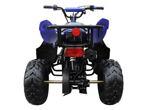 2022 Coolster ATV-3050B in Knoxville, Tennessee - Photo 8