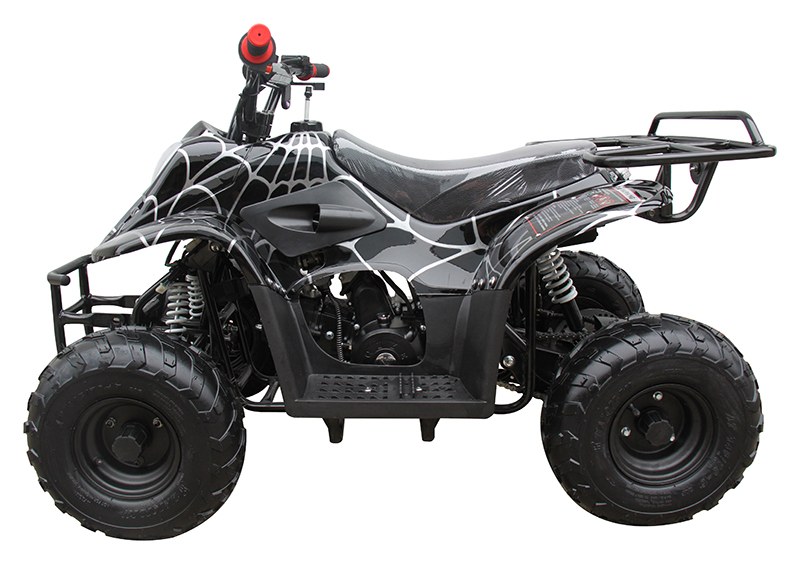 2022 Coolster ATV-3050C in Knoxville, Tennessee - Photo 2