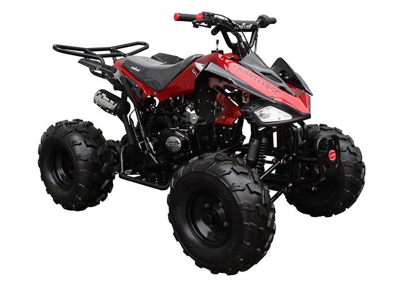 2022 Coolster ATV-3125CX-2 in Knoxville, Tennessee - Photo 3