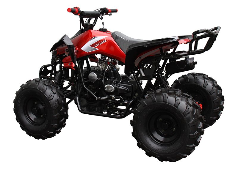 2022 Coolster ATV-3125CX-2 in Knoxville, Tennessee - Photo 5