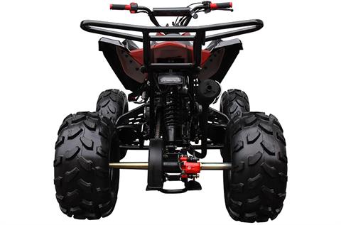 2022 Coolster ATV-3125CX-2 in Knoxville, Tennessee - Photo 8