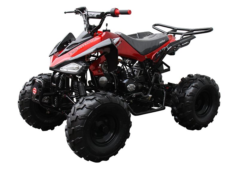 2022 Coolster ATV-3125CX-2 in Knoxville, Tennessee - Photo 4