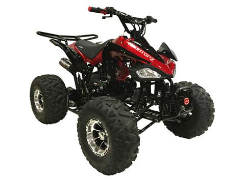 2022 Coolster ATV-3125CX-3 in Knoxville, Tennessee