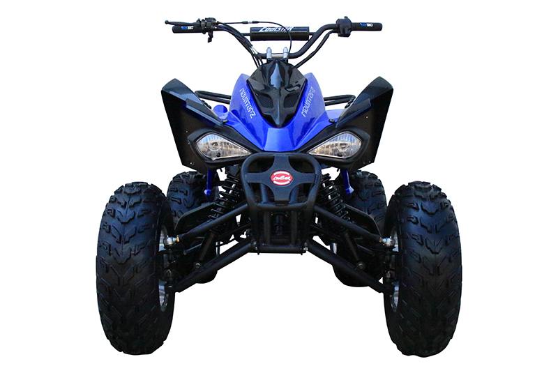 2022 Coolster ATV-3150CXC in Knoxville, Tennessee