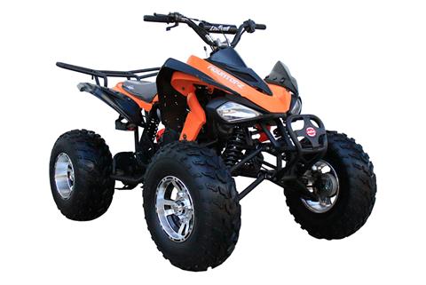 2022 Coolster ATV-3150CXC in Knoxville, Tennessee - Photo 3