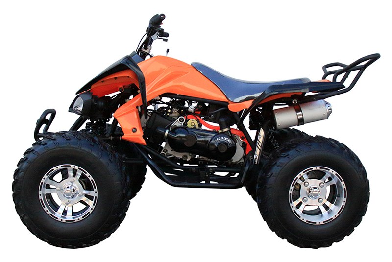 2022 Coolster ATV-3150CXC in Knoxville, Tennessee - Photo 3