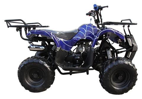 2022 Coolster ATV-3125R in Knoxville, Tennessee - Photo 1