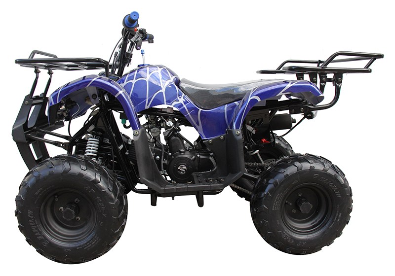 2022 Coolster ATV-3125R in Knoxville, Tennessee - Photo 2