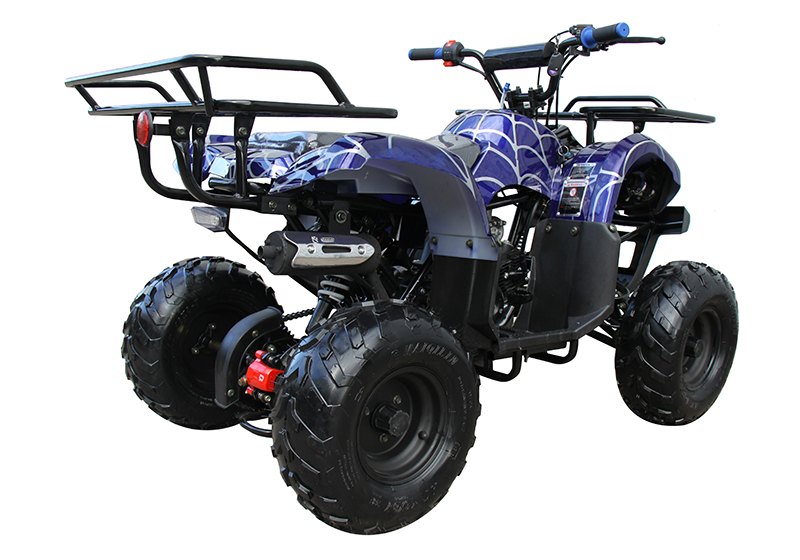 2022 Coolster ATV-3125R in Knoxville, Tennessee - Photo 6