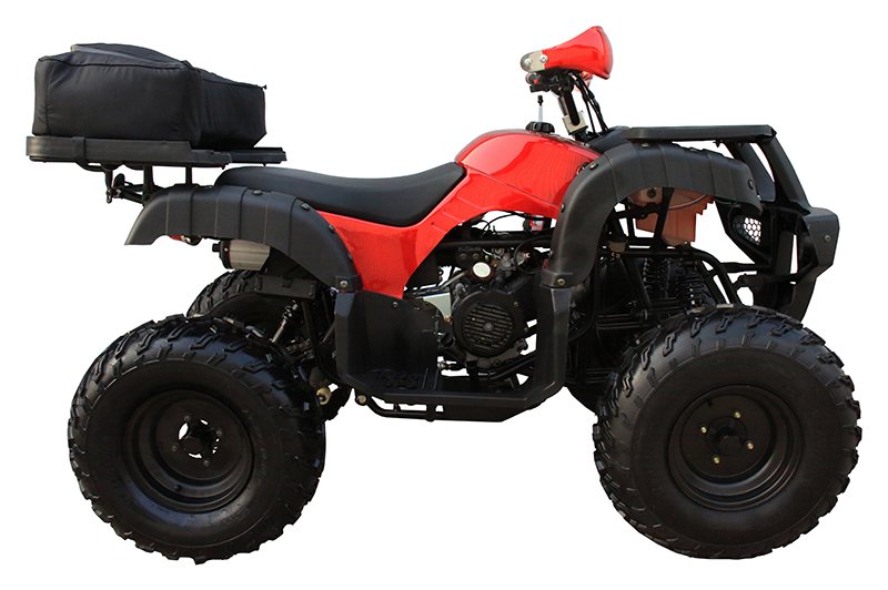2022 Coolster ATV-3150DX-4 in Knoxville, Tennessee - Photo 2
