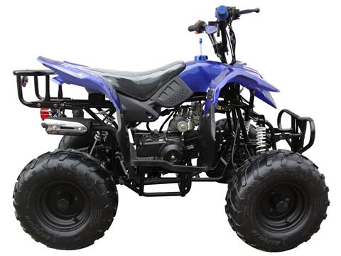 2023 Coolster ATV-3050B in Knoxville, Tennessee - Photo 2