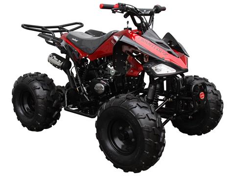 2023 Coolster ATV-3125CX-2 in Knoxville, Tennessee - Photo 4