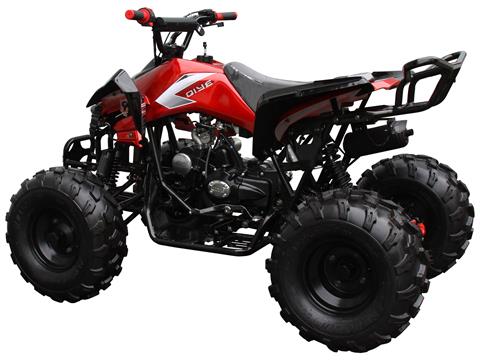 2023 Coolster ATV-3125CX-2 in Knoxville, Tennessee - Photo 6