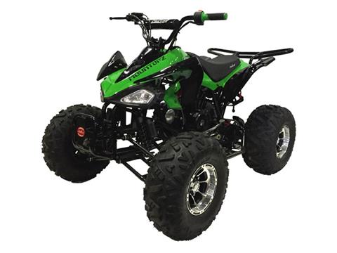 2023 Coolster ATV-3125CX-3 in Knoxville, Tennessee - Photo 2