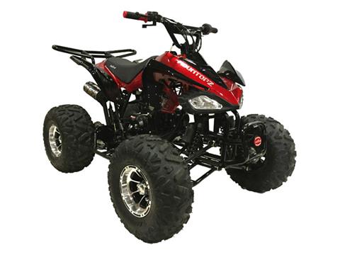 2023 Coolster ATV-3125CX-3 in Knoxville, Tennessee - Photo 1