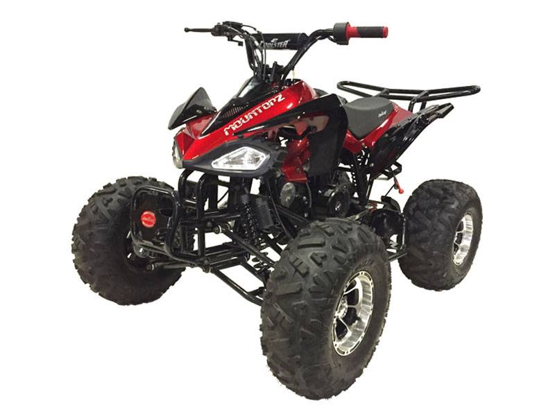 2023 Coolster ATV-3125CX-3 in Knoxville, Tennessee