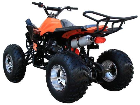 2023 Coolster ATV-3150CXC in Knoxville, Tennessee - Photo 7