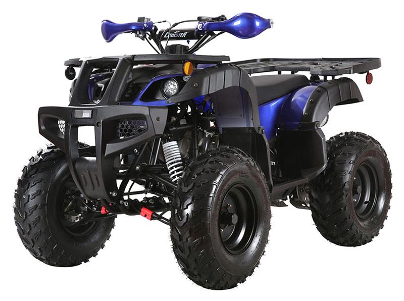2023 Coolster ATV-3200U in Knoxville, Tennessee