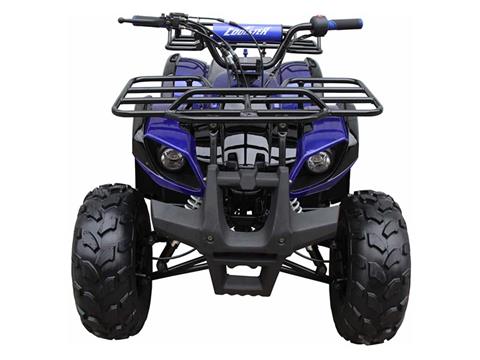 2023 Coolster ATV-3125XR8-U in Knoxville, Tennessee