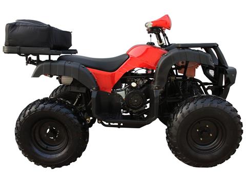 2023 Coolster ATV-3150DX-4 in Knoxville, Tennessee - Photo 2