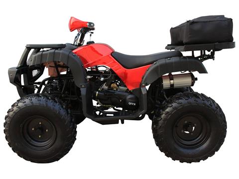 2023 Coolster ATV-3150DX-4 in Knoxville, Tennessee - Photo 3