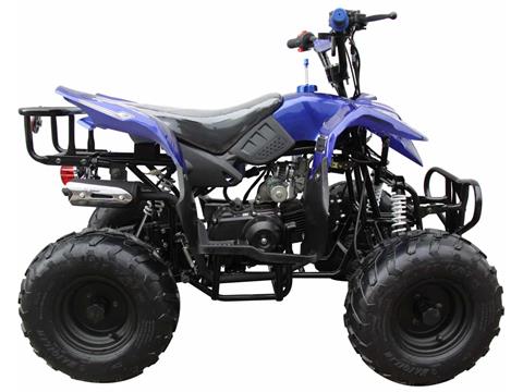 2024 Coolster ATV-3050B in Knoxville, Tennessee - Photo 2