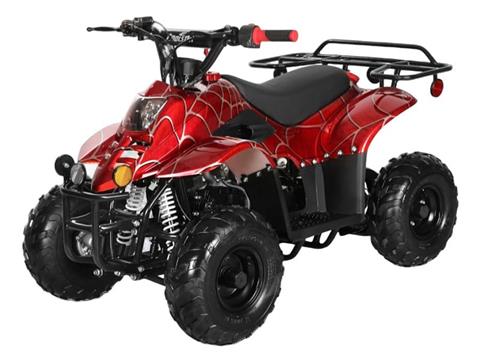 2024 Coolster ATV-3050C in Waynesboro, Mississippi