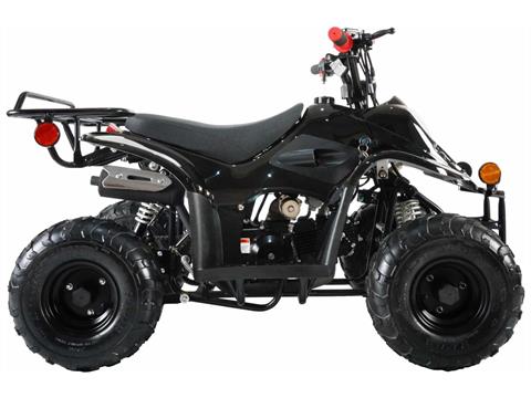 2024 Coolster ATV-3050C in Knoxville, Tennessee - Photo 2