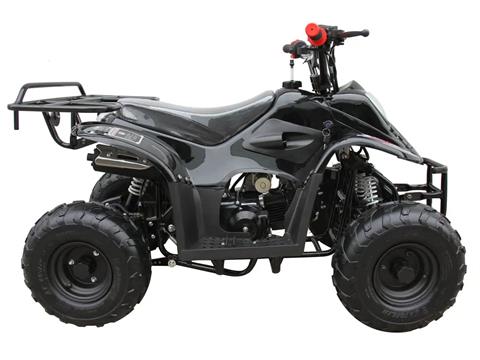 2024 Coolster ATV-3050C in Knoxville, Tennessee - Photo 2