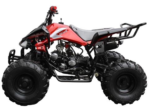 2024 Coolster ATV-3125CX-2 in Knoxville, Tennessee - Photo 3