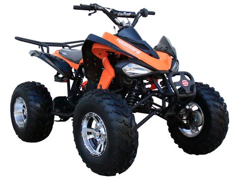 2024 Coolster ATV-3150CXC in Knoxville, Tennessee - Photo 4