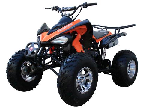 2024 Coolster ATV-3150CXC in Knoxville, Tennessee - Photo 5