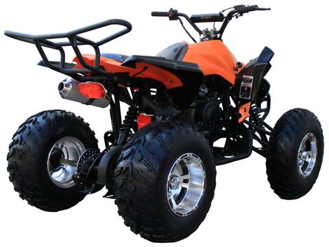 2024 Coolster ATV-3150CXC in Knoxville, Tennessee - Photo 6