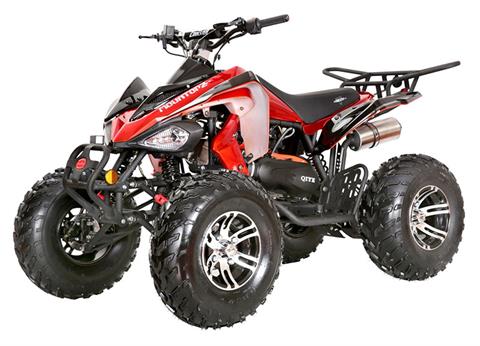 2024 Coolster ATV-3200S in Knoxville, Tennessee - Photo 1