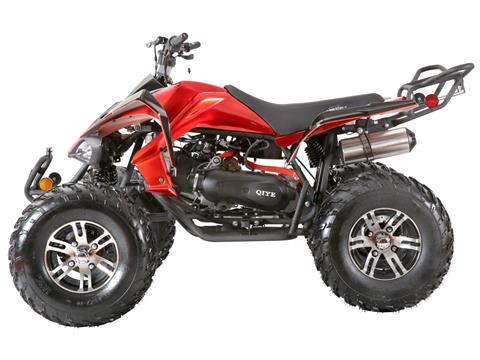 2024 Coolster ATV-3200S in Knoxville, Tennessee - Photo 3