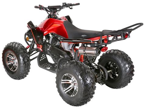 2024 Coolster ATV-3200S in Knoxville, Tennessee - Photo 6